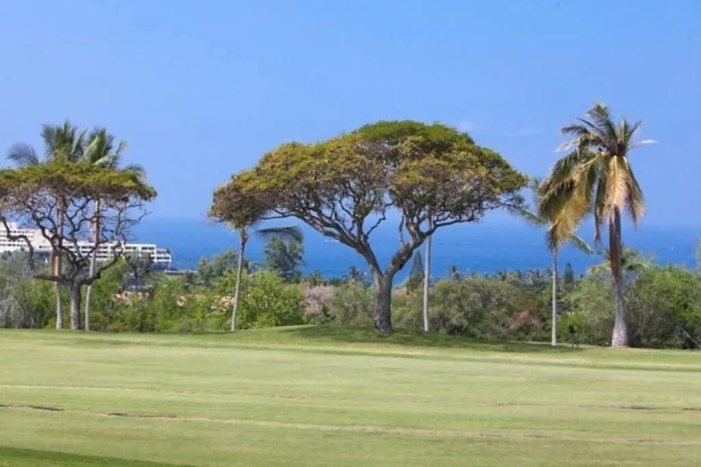 公寓 Beautiful 2/2 Condo In Kailua Kona. Ocean View! 美国